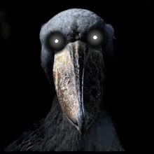 20260725 113257