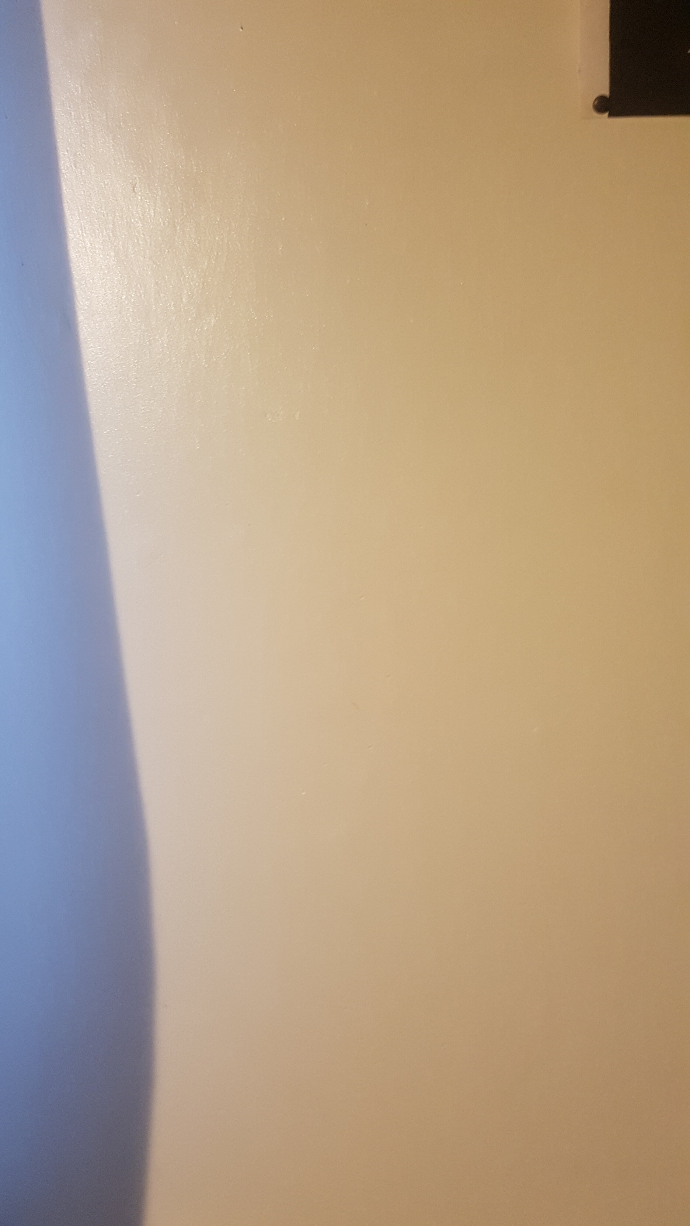 20261023 194946