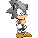 SSNRobo Char Pose