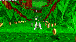 ringracers0031.gif