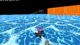 ringracers0132.gif