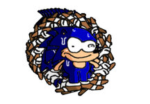 the sbag forcefield.jpeg