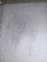 IMG_4286.jpeg