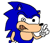 Random Sbag art.png