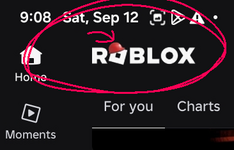 Screenshot_20260912_090856_Roblox_20260912091221.png