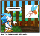 Alex_The_Hedgehog_VS_A_Mosquito.png
