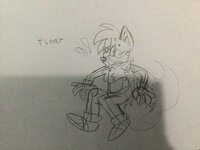 IMG_9354.jpeg