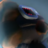 SSNFang