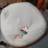 ChampoTheChamp