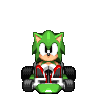 Ring Racers Sonic